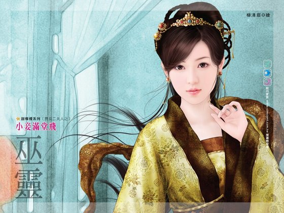 《小妾滿堂飛(寶貝二夫人之一)》
