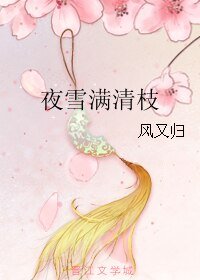 《夜雪滿清枝》