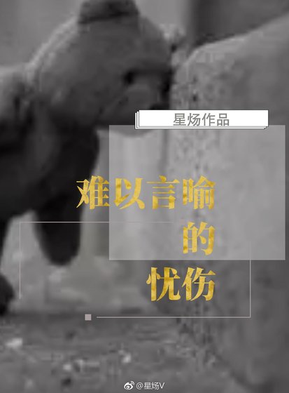 《難以言喻的憂傷》