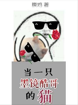 當一隻墨鏡酷哥的貓