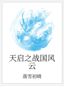 《天啓之戰國風雲》