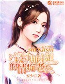 《設計師小姐的情痴老公》