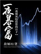 《一夜暴富:我做風險投資的日子》