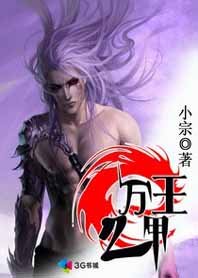 《王功神甲稱霸三界:萬甲之王》