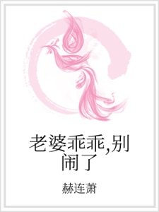 《老婆乖乖,別鬧了》