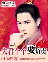 《十夫擋导:夫君個個要負責》