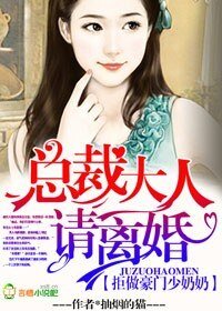 《拒做豪門少奶奶,總裁大人請離婚》
