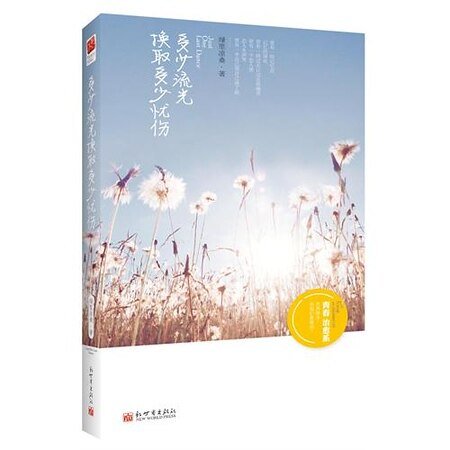 《多少流光換取多少憂傷(出書版)》