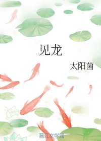 見龍