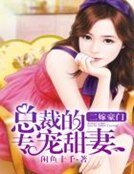 《二嫁豪門:總裁的專寵甜妻》