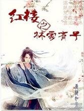 《紅樓之林家有子》