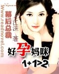 《幕後總裁:好孕媽咪1+1》
