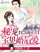 《億萬繼承者:秘寵寶貝婚後愛》