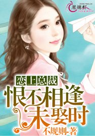《戀上總裁:恨不相逢未娶時》