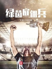 《綠茵僱傭兵》