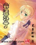 《(動漫同人)命運補丁》