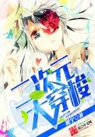 《二次元大穿梭》