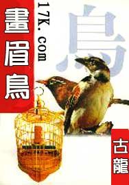 《畫眉扮+蝙蝠俠(楚留巷系列)》