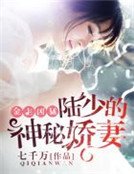 《金主兇猛:陸少的神秘嬌妻》