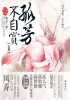 《孤芳不自賞(鍾漢良、Angelababy主演)》