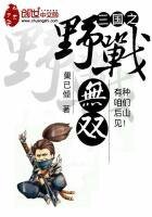 《三國之野戰無雙》