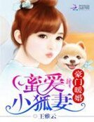 《豪門暖婚:蜜愛小狐妻》