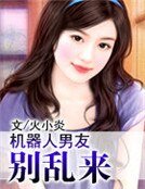 《機器人男友,別亂來》