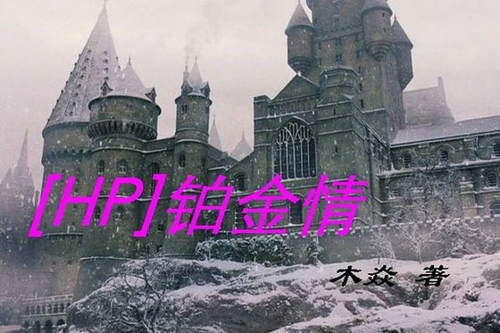 《(HP同人)鉑金情》
