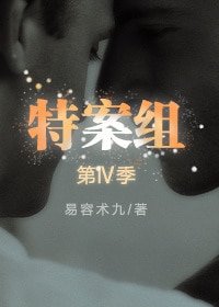 《特殊案件調查組IV》