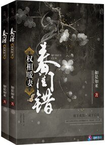 《春閨錯之權相暖妻》