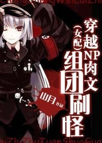 《(女配)穿越NP肉文組團刷怪》