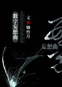 《(綜小説同人)數字妄想曲》