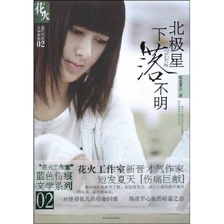 《北極星下落不明》