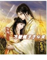 穿越：冷魅娘子不從夫