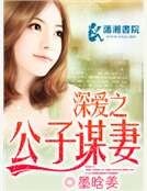 深愛之公子謀妻