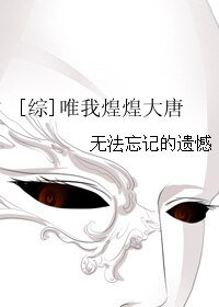 《(綜同人)唯我煌煌大唐》