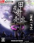 忍者甲殼蟲