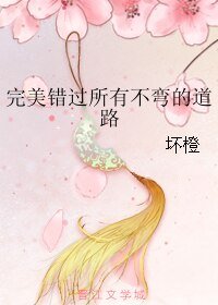 《完美錯過所有不彎的道路》