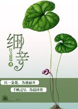 《細辛》