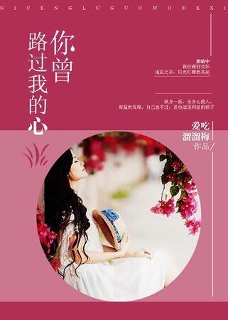你曾路過我的心