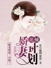《追捕嬌妻計劃》