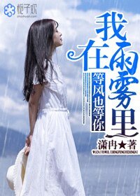 《我在雨霧裏,等風也等你》