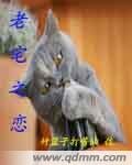 《老宅之戀》