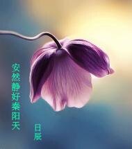 《安然靜好秦陽天》