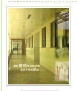 《冷漠,是不是我的錯》
