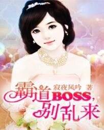 《逃愛少夫人:霸道首席追妻108計/霸道BOSS,別亂來》