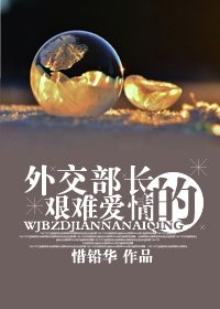 《艱難愛情/外交部長的艱難愛情》