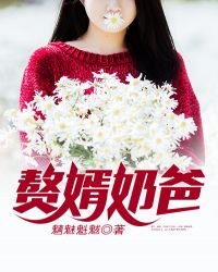 《贅婿奶爸》
