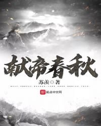 《獻帝春秋》