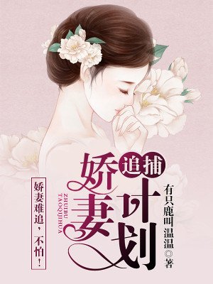 《追捕嬌妻計劃》